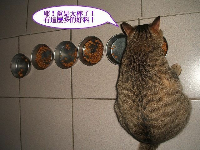 002 (25).JPG