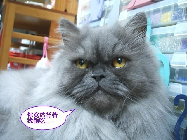 妞妞捉姦在床