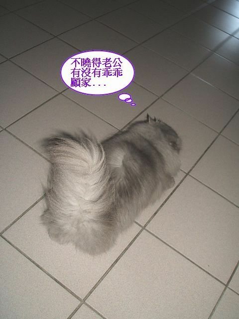 妞妞捉姦在床