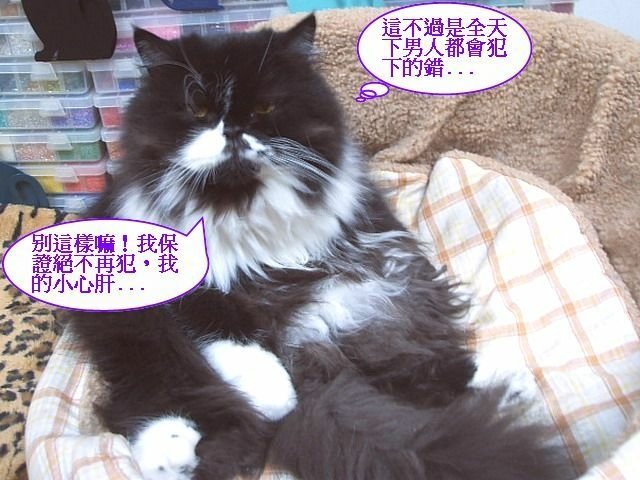 妞妞捉姦在床
