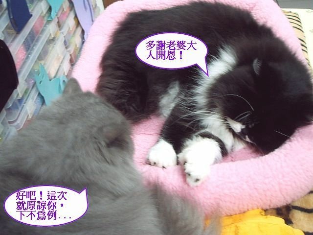 妞妞捉姦在床