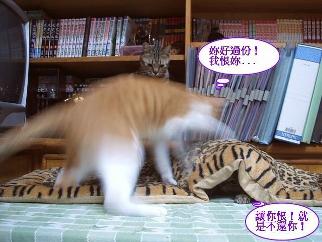 好窩大家搶