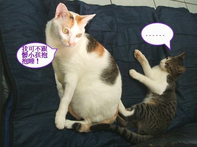 襪襪睡覺要人陪