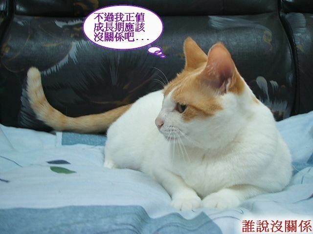 亮亮夏日炎炎食慾開