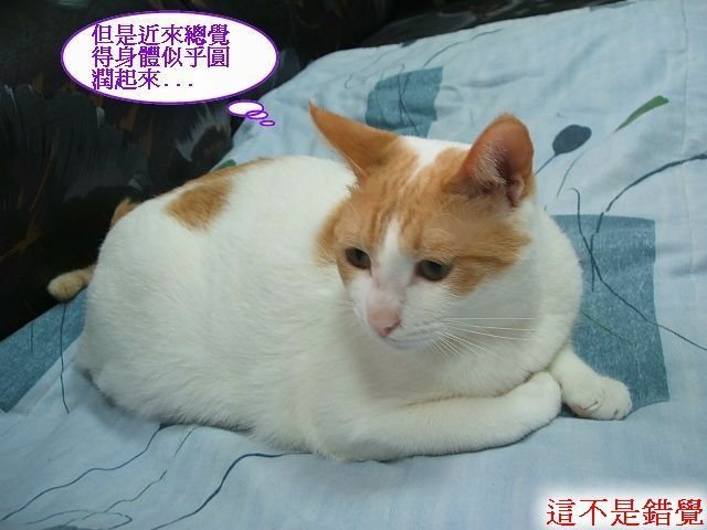 亮亮夏日炎炎食慾開