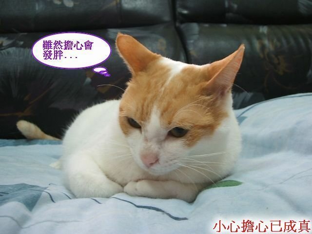 亮亮夏日炎炎食慾開