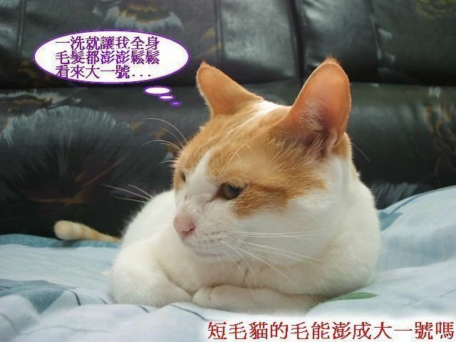 亮亮夏日炎炎食慾開