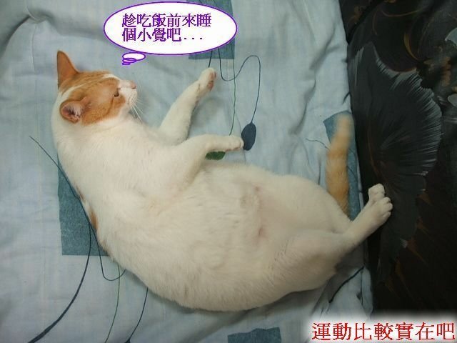 亮亮夏日炎炎食慾開