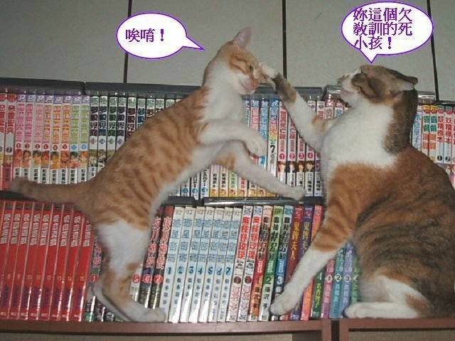 跳跳妹妹讓路記
