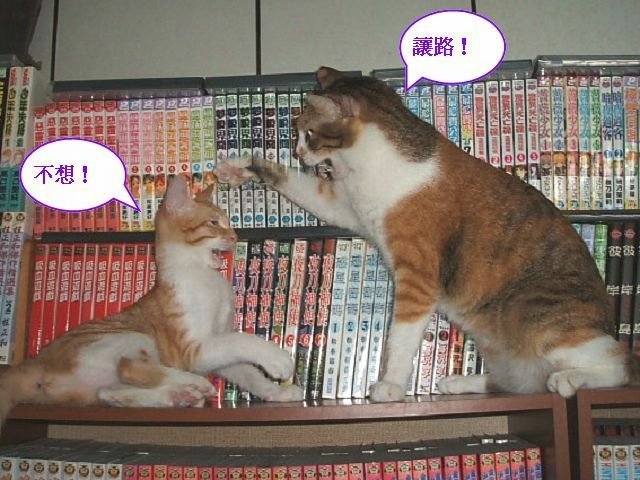 跳跳妹妹讓路記