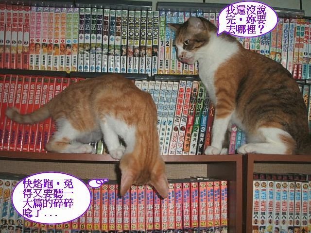 跳跳妹妹讓路記