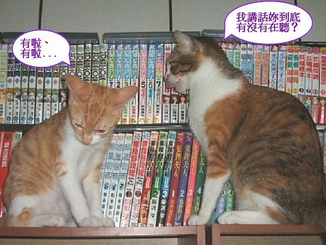 跳跳妹妹讓路記