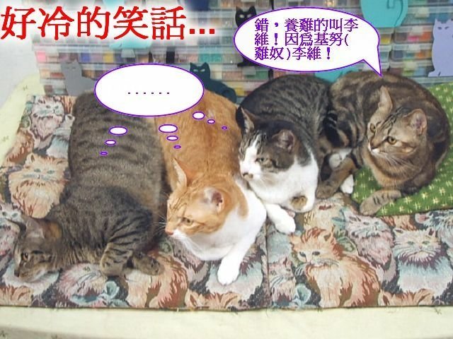 紋紋的腦筋急轉彎