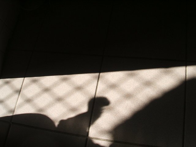 698 (11).JPG
