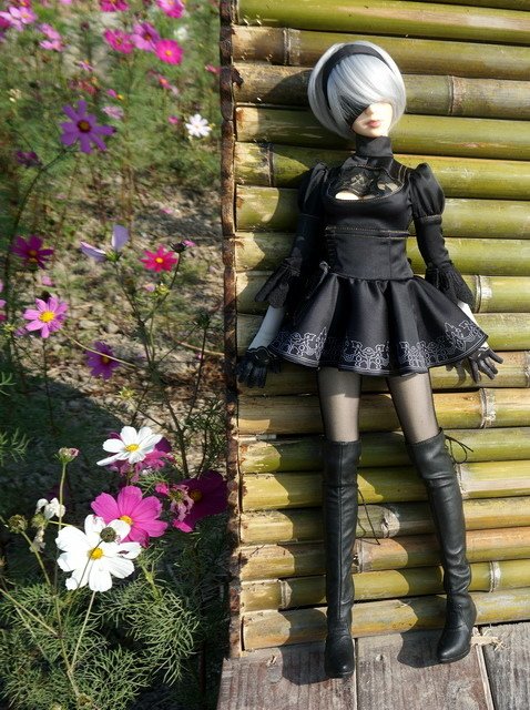 《尼爾：自動人形》-- 2B ‧ 花田