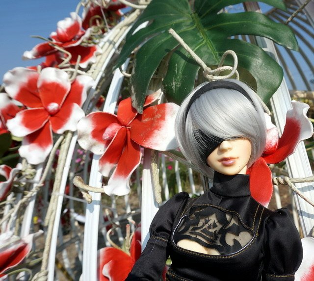 《尼爾：自動人形》-- 2B ‧ 花田