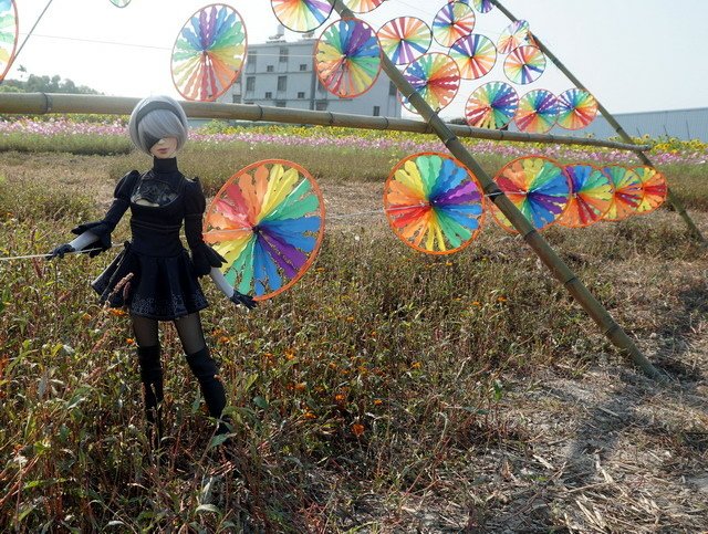 《尼爾：自動人形》-- 2B ‧ 花田