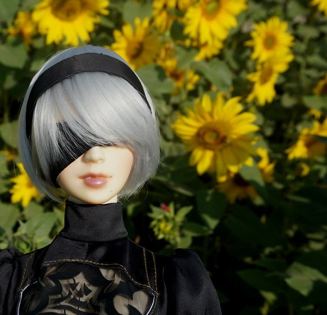 《尼爾：自動人形》-- 2B ‧ 花田