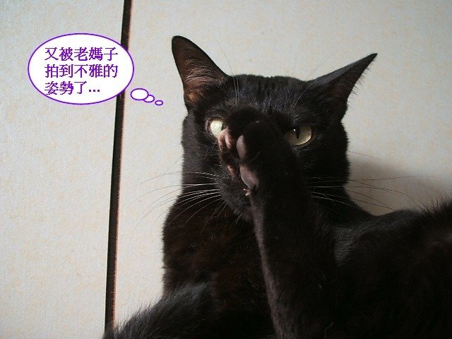 琪琪的不雅照
