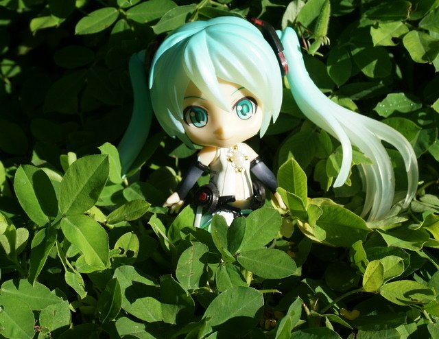 ねんどろいど -- 初音未來餵貓趣