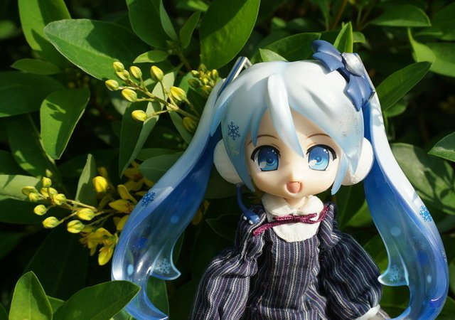 ねんどろいど -- 雪初音公園散步