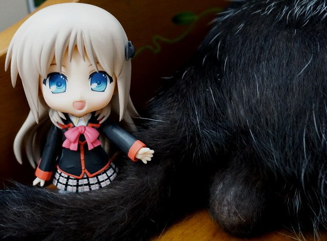 ねんどろいど -- 能美．庫特莉亞芙卡與乳牛貓