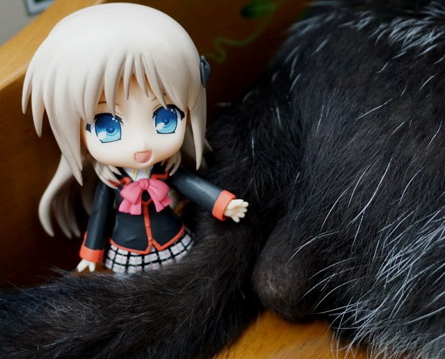 ねんどろいど -- 能美．庫特莉亞芙卡與乳牛貓