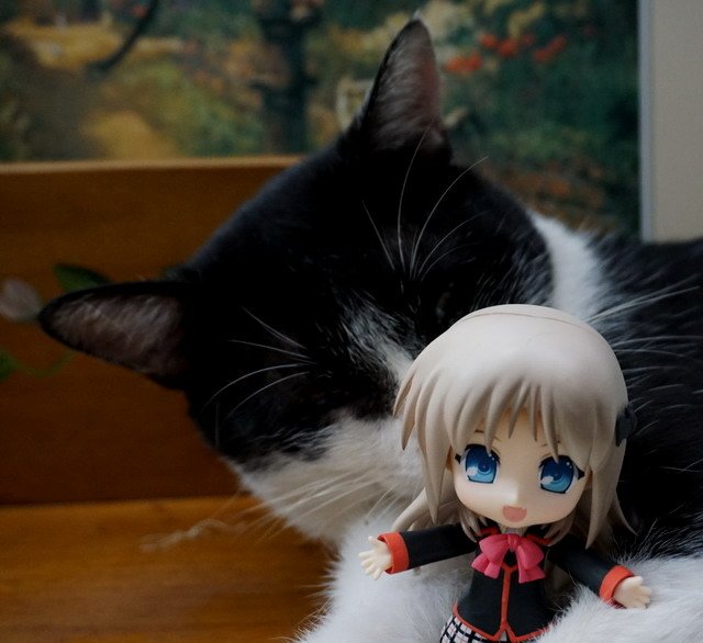 ねんどろいど -- 能美．庫特莉亞芙卡與乳牛貓