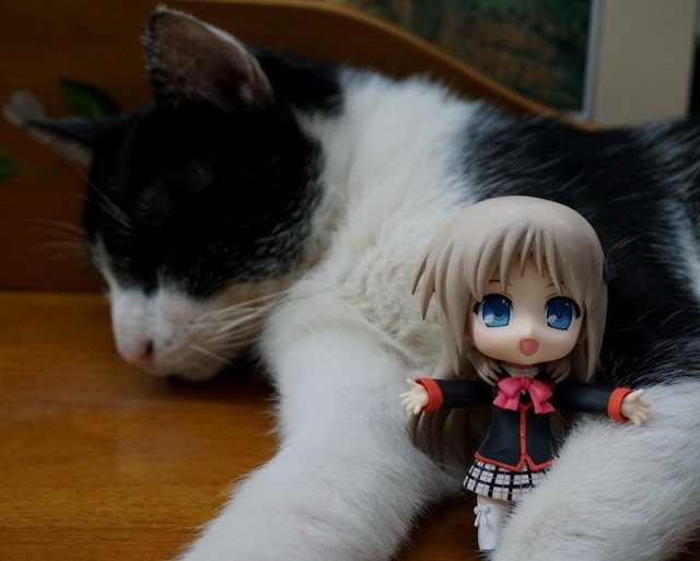 ねんどろいど -- 能美．庫特莉亞芙卡與乳牛貓