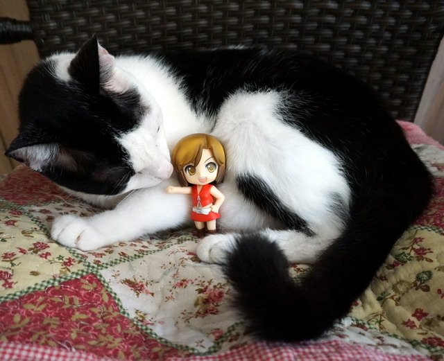 ねんどろいど -- MEIKO