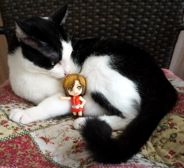 ねんどろいど -- MEIKO