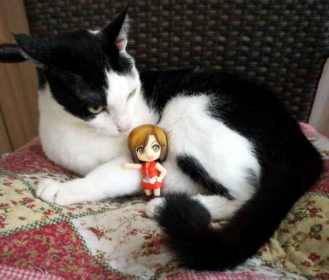 ねんどろいど -- MEIKO