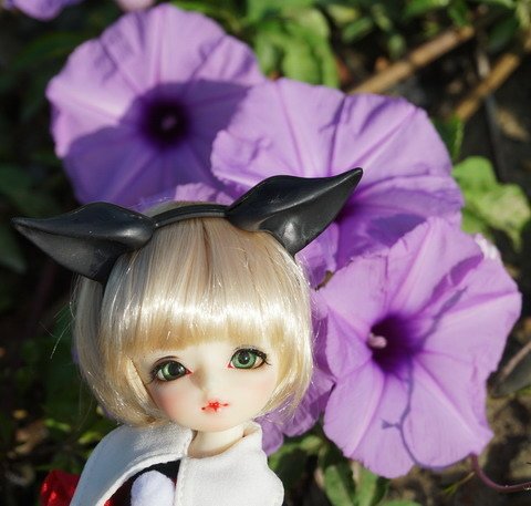 牽牛花田中的小可愛