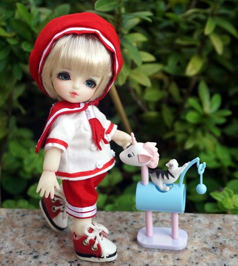 貓咪幼兒園