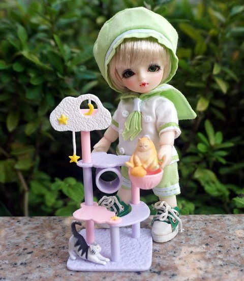 貓咪幼兒園