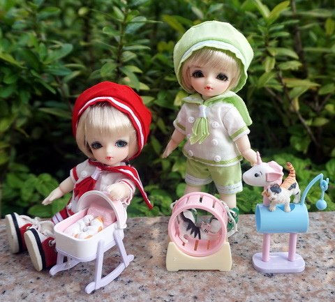 貓咪幼兒園