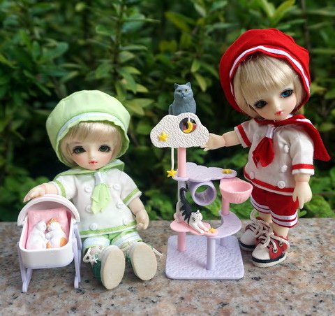 貓咪幼兒園