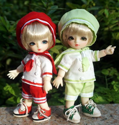 貓咪幼兒園