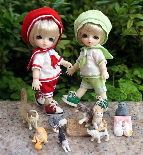 貓咪幼兒園