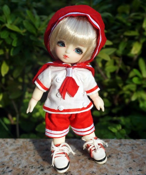 貓咪幼兒園