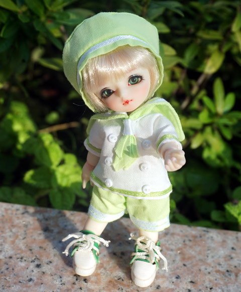 貓咪幼兒園