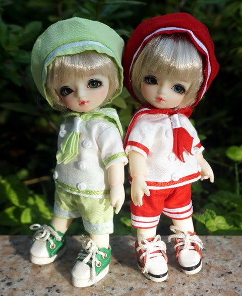 貓咪幼兒園