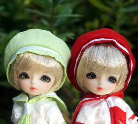 貓咪幼兒園