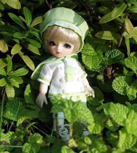 貓咪幼兒園
