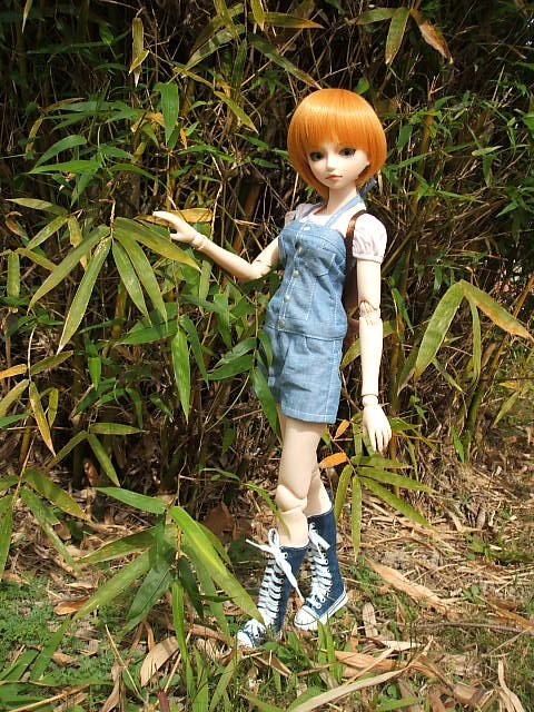野性少女葵木空