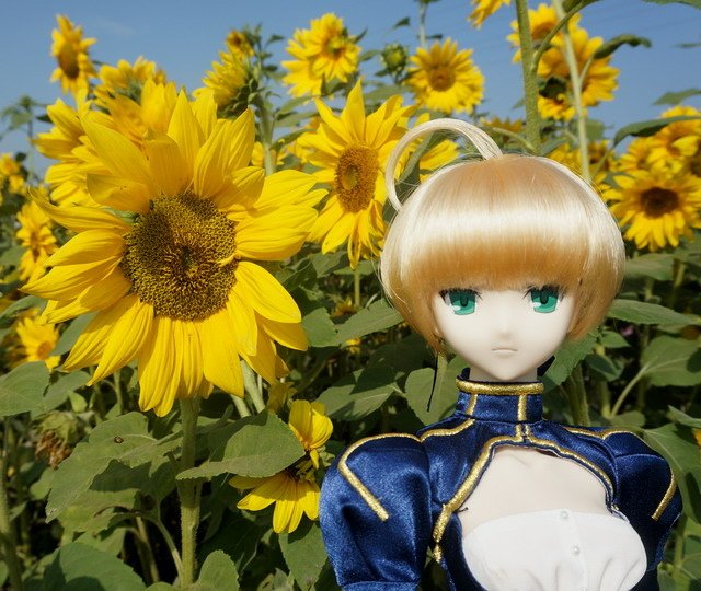 麥田中的賽芭
