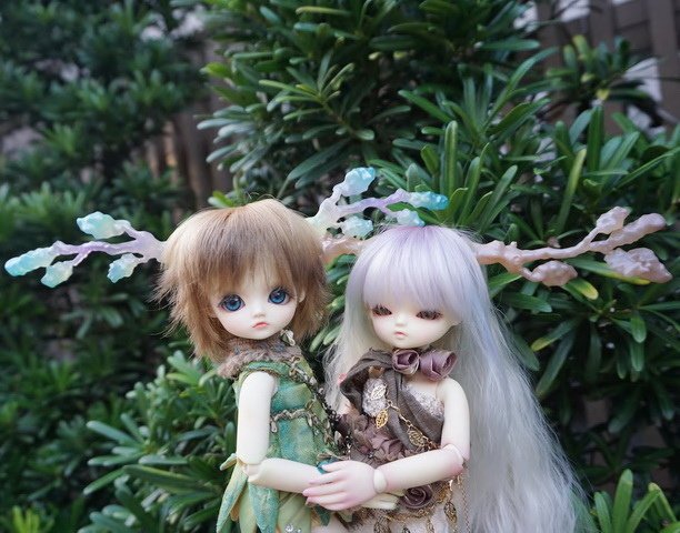 樹妖精姊妹花