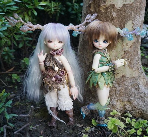 樹妖精姊妹花