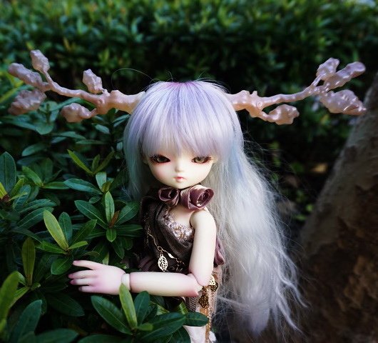 樹妖精姊妹花