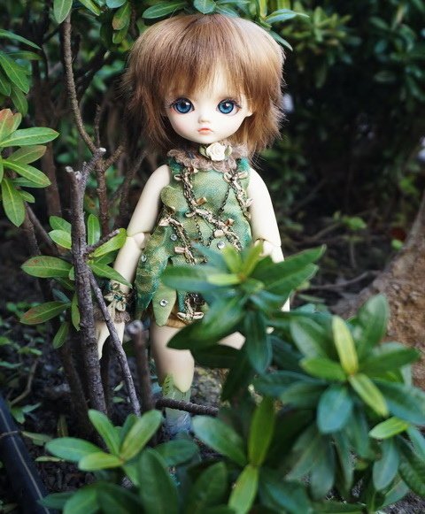 樹妖精姊妹花